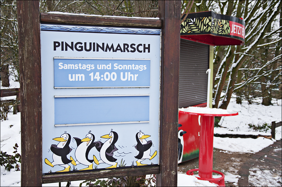 Peguinmarch at Münster