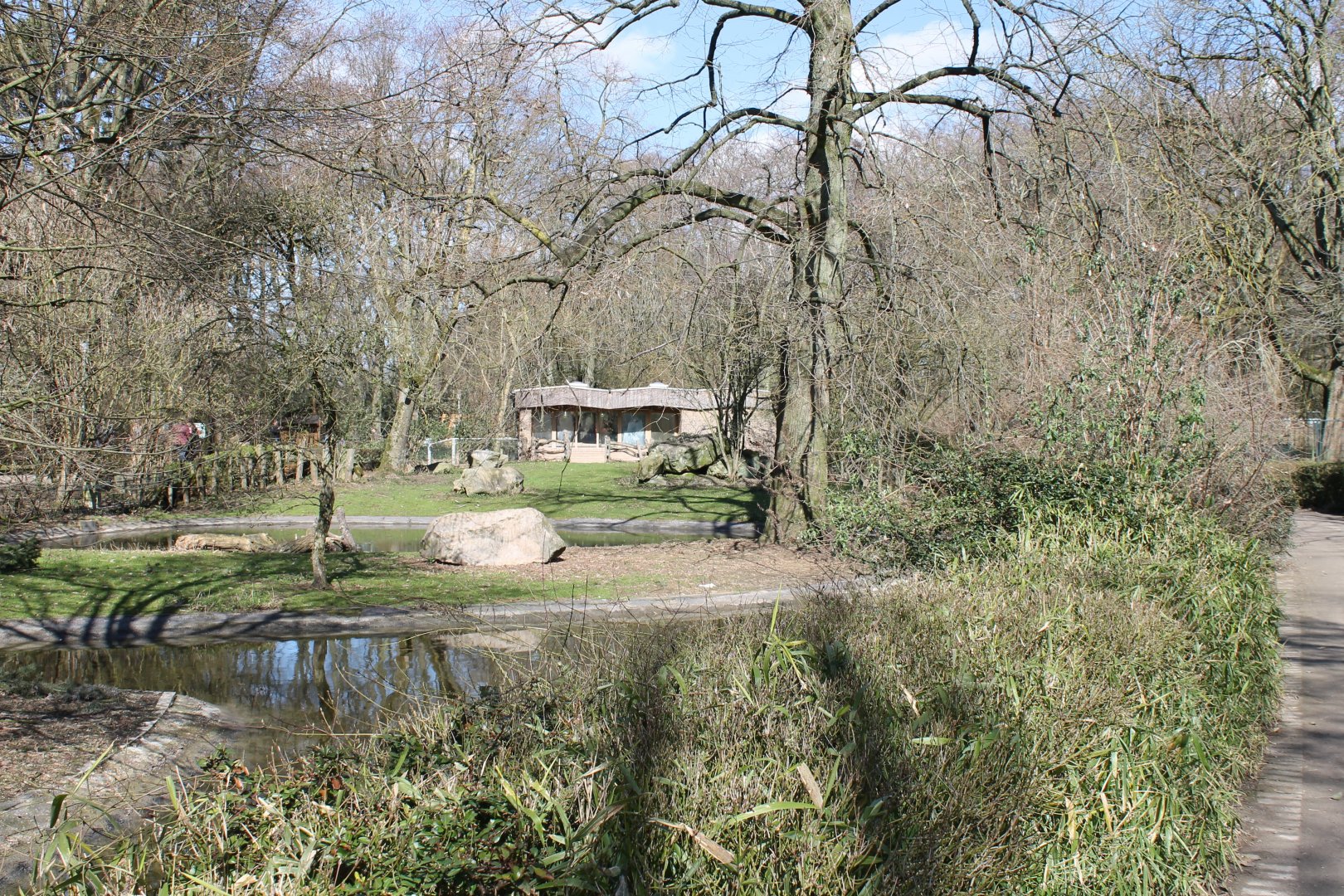 Pelican - Aldabra tortoise-outdoor-enclosure