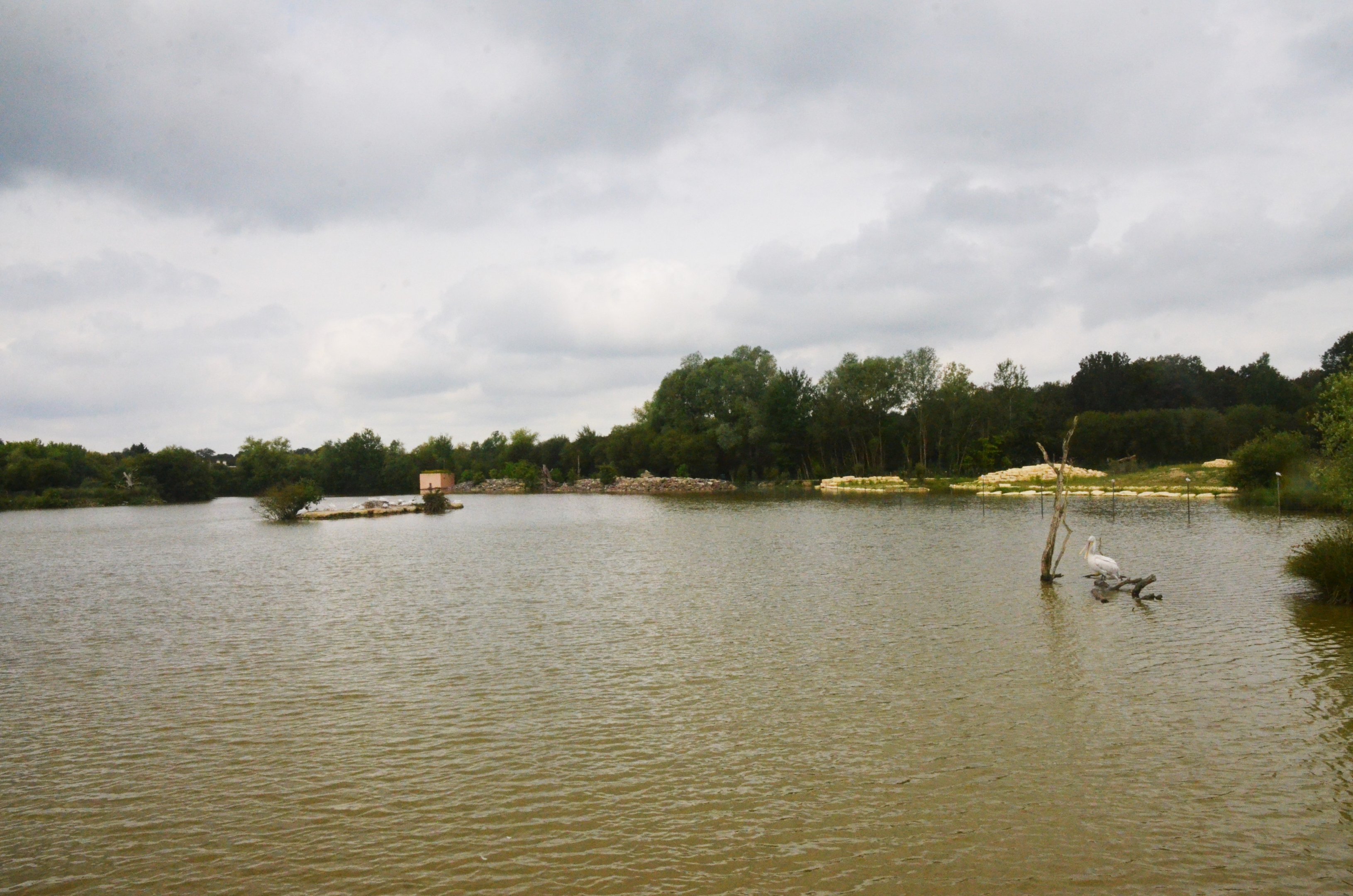 Pelican and Baboon Islands at Haute-Touche, 14/06/18