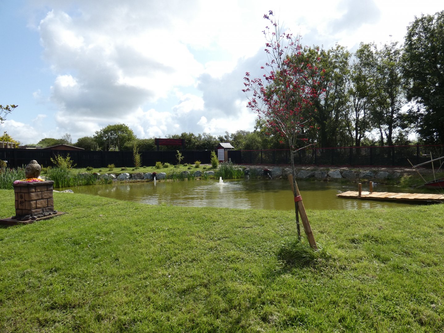 Pelican and waterfowl lake