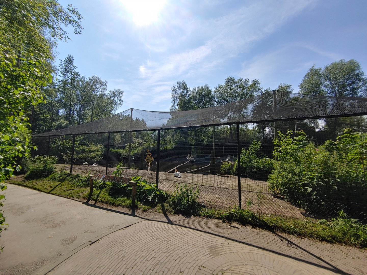 Pelican aviary - view at the side