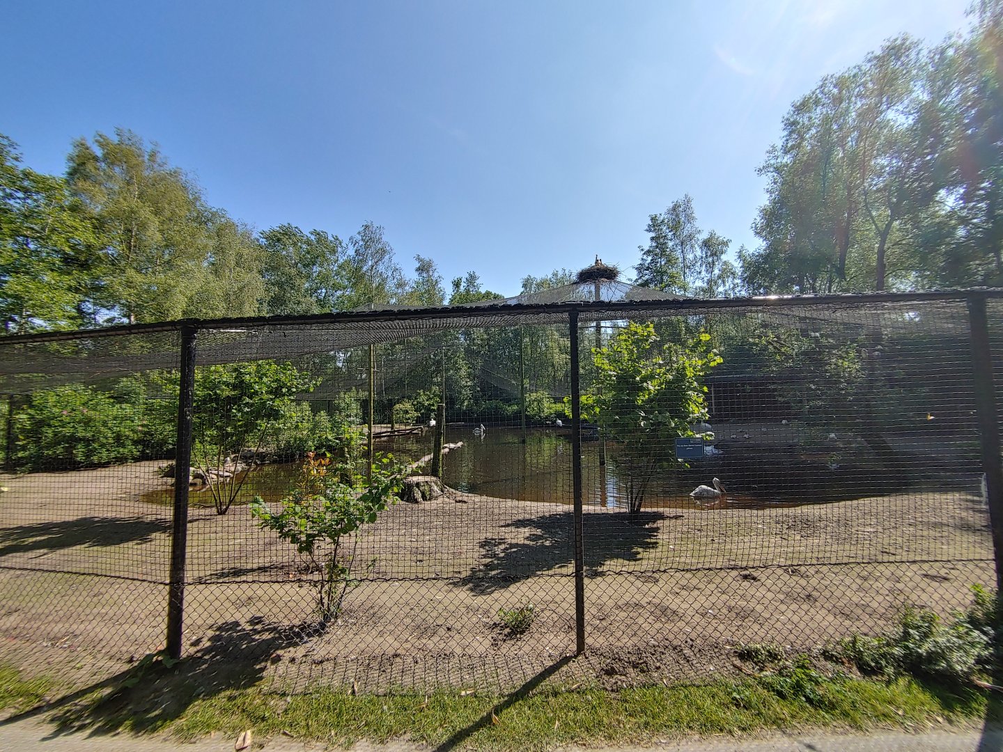 Pelican aviary - view from the front