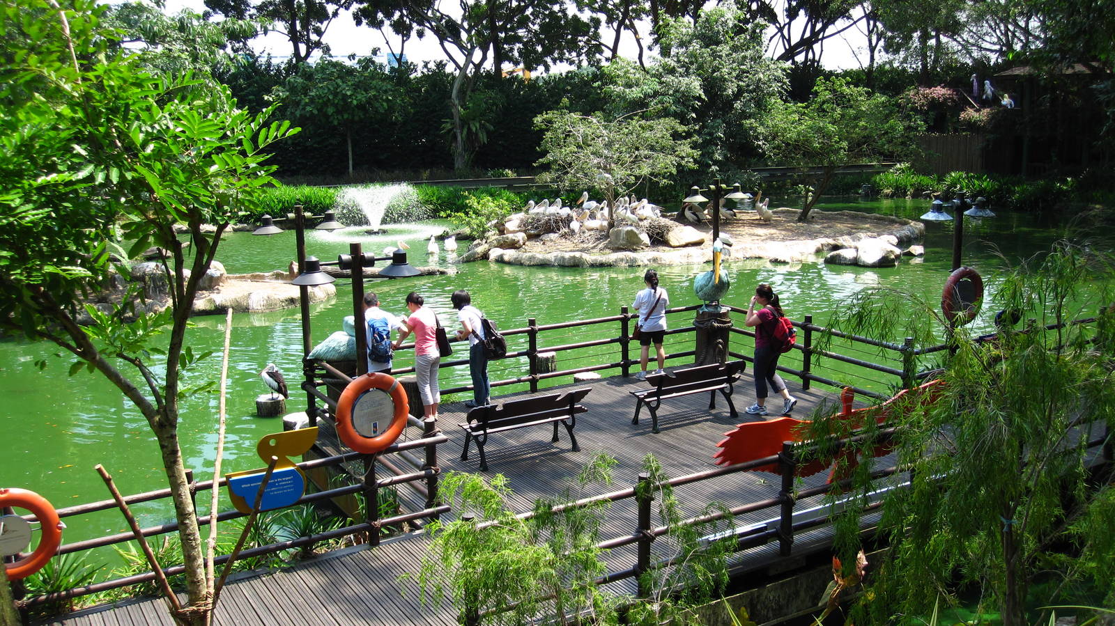 Pelican Cove, Jurong Bird Park