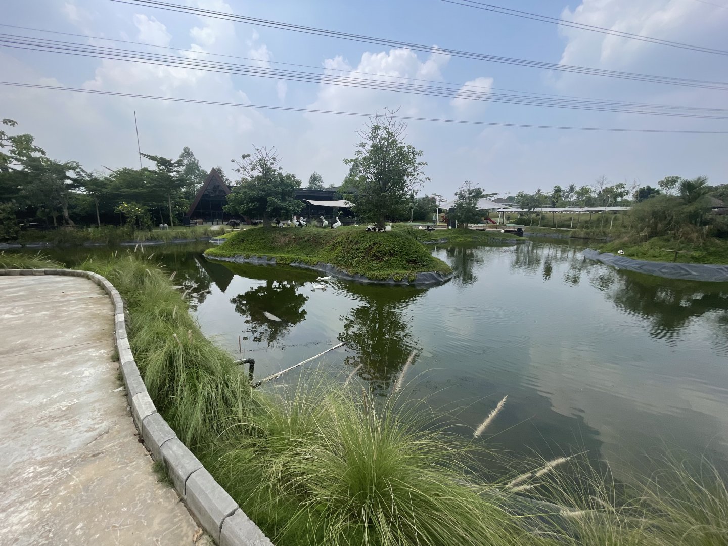 pelican & duck pond - aviary park