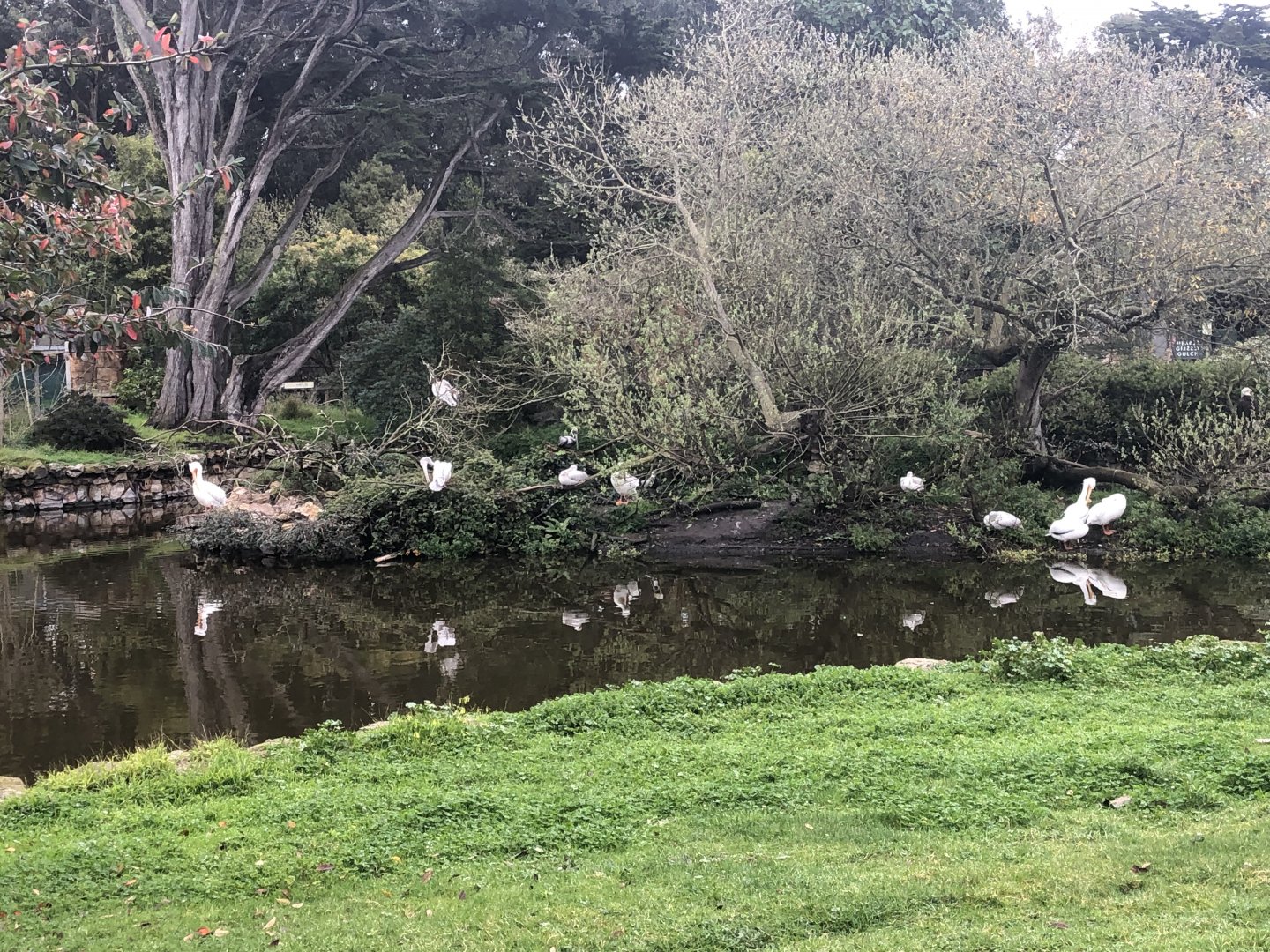 Pelican/Eagle Island