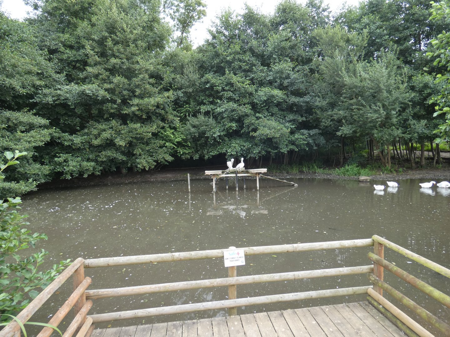 Pelican enclosure