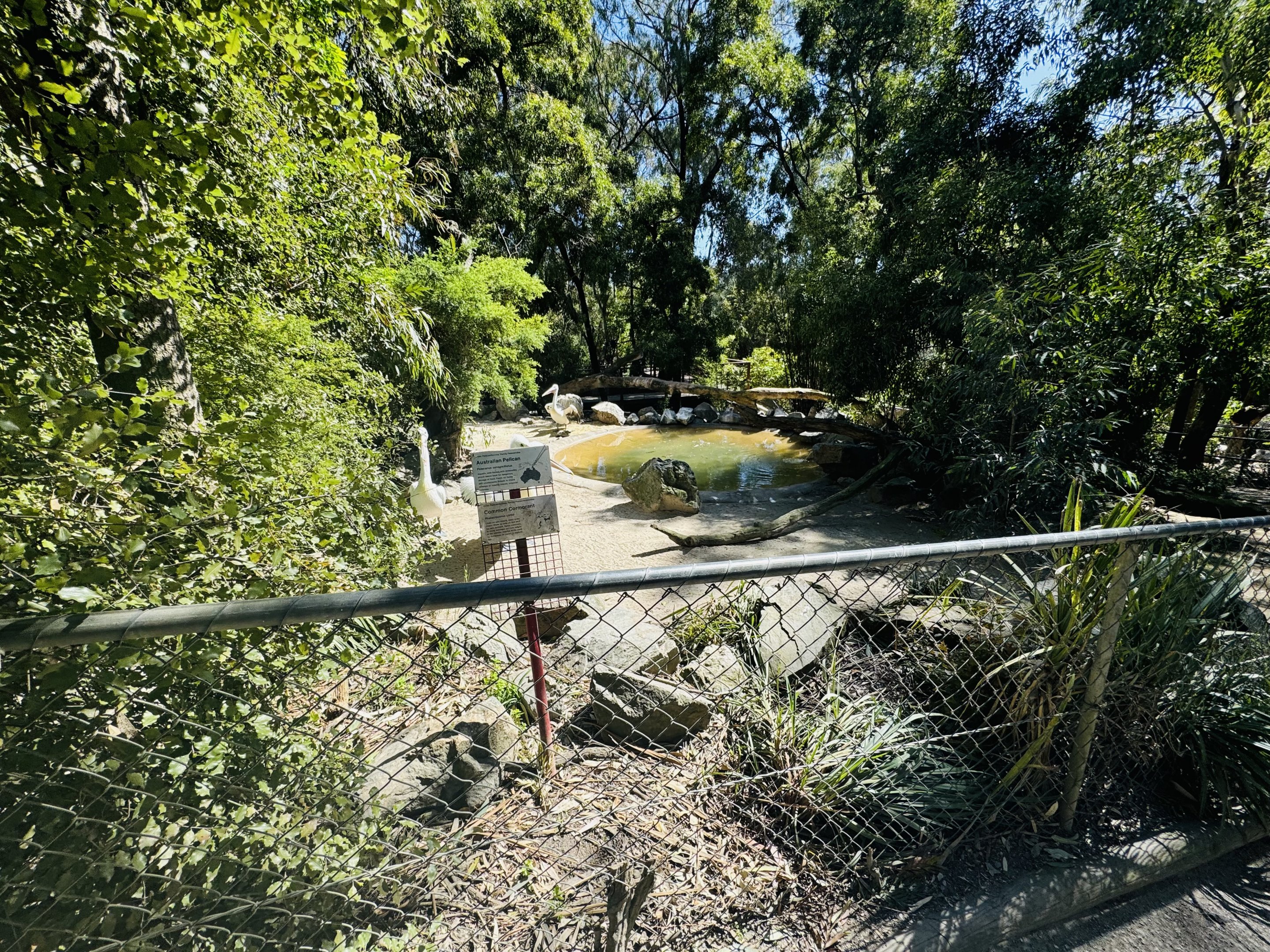 Pelican enclosure
