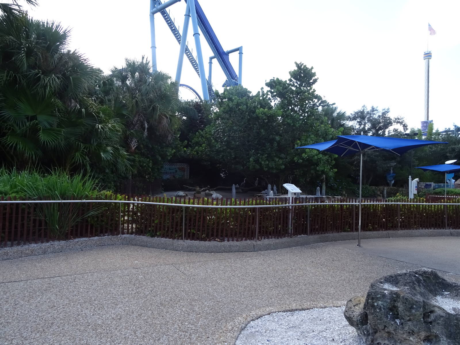 Pelican Exhibit at SeaWorld Orlando