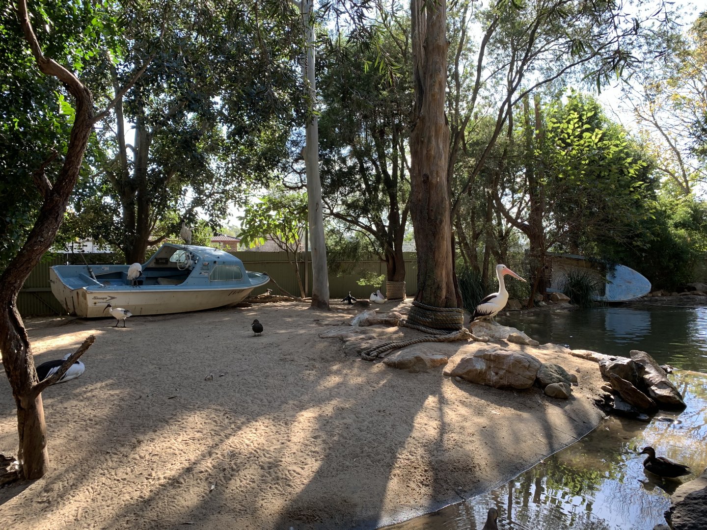 Pelican Exhibit