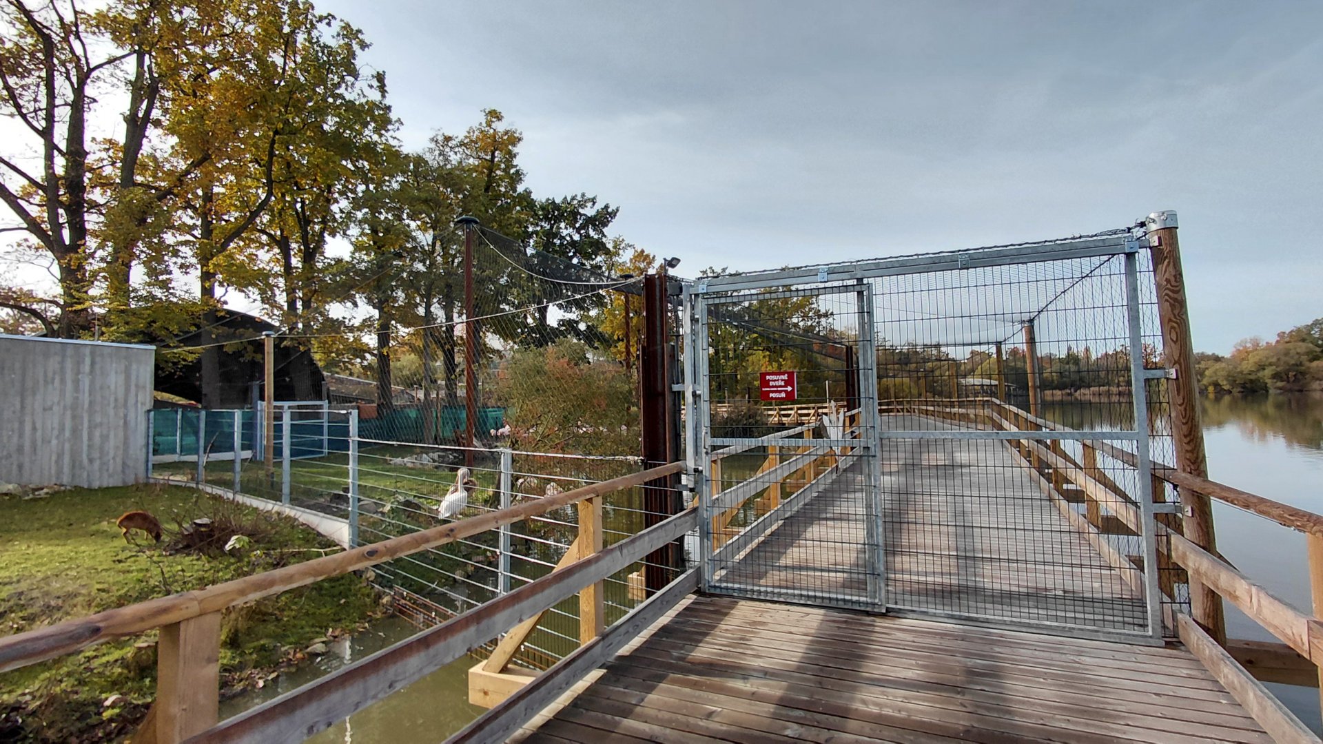 Pelican + flamingo walk-in aviary