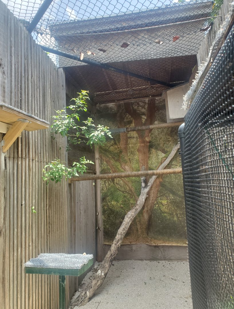 Pelican Harbor - Great Horned Owl enclosure