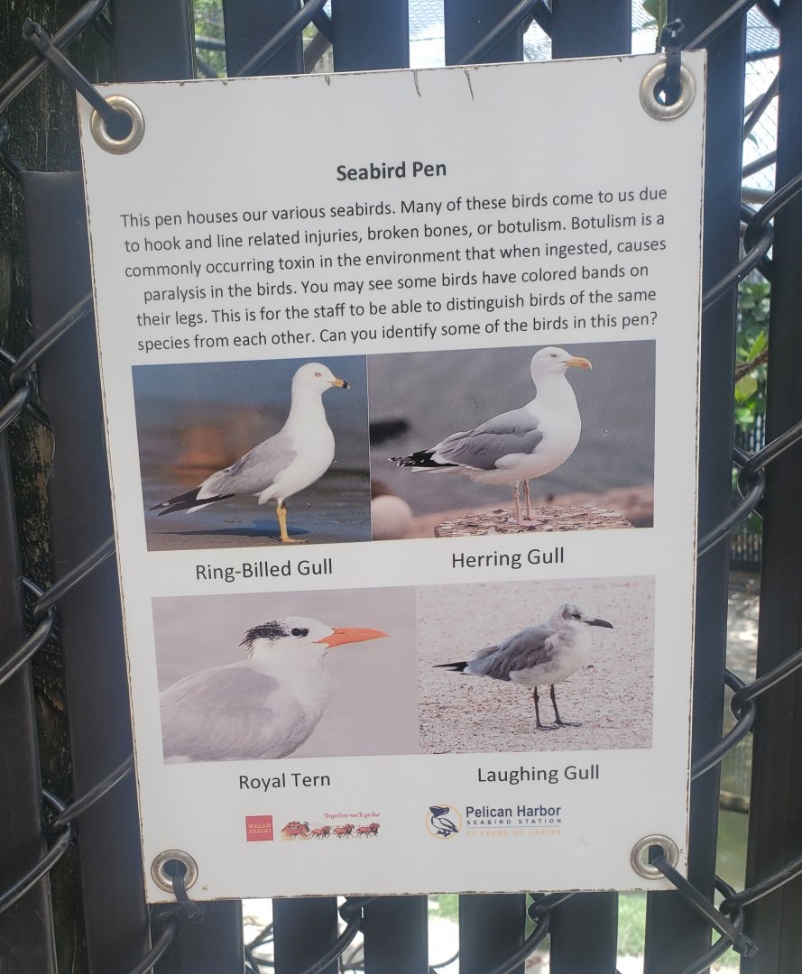 Pelican Harbor - Old signage