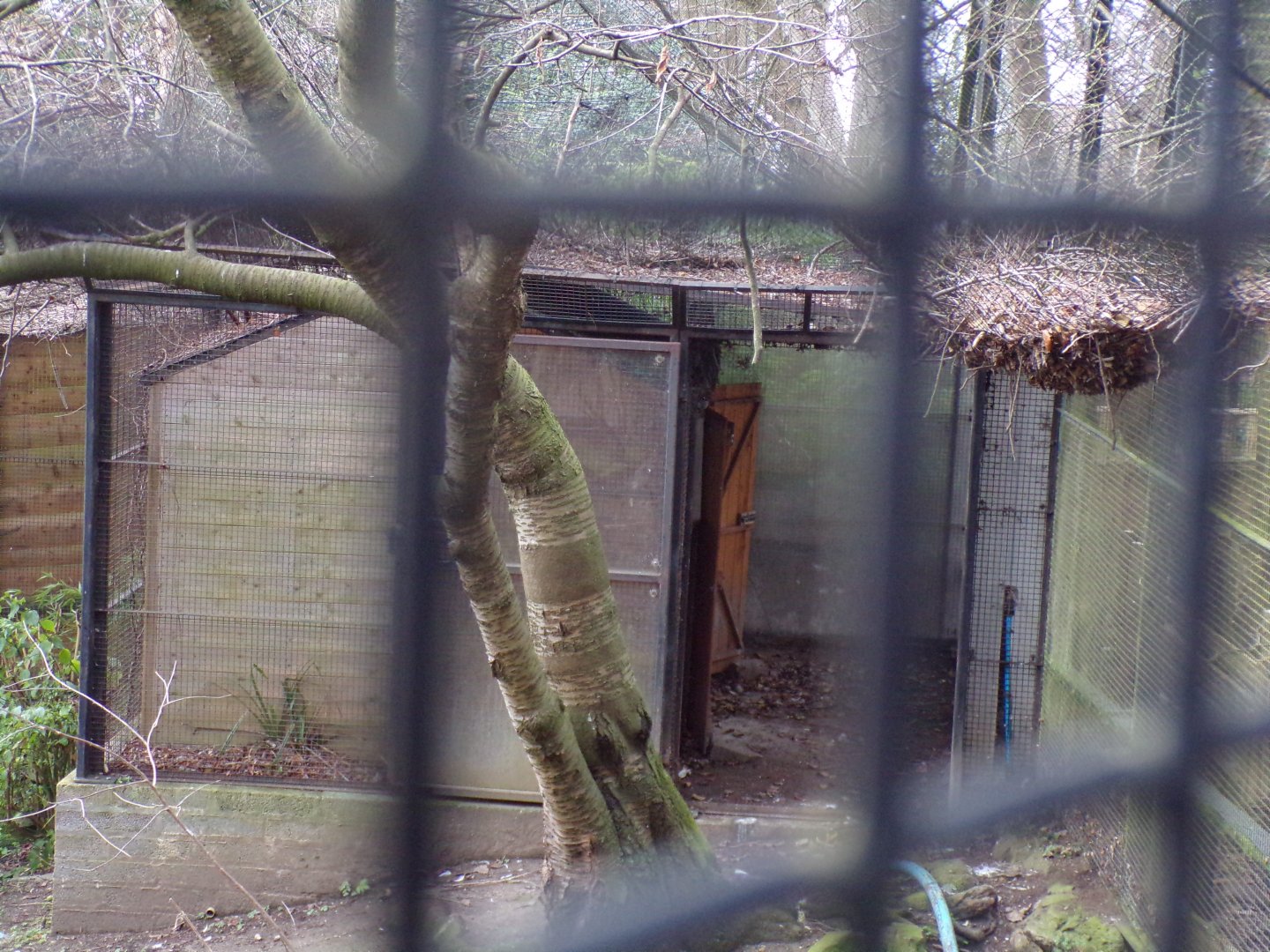 Pelican housing 1.3.25