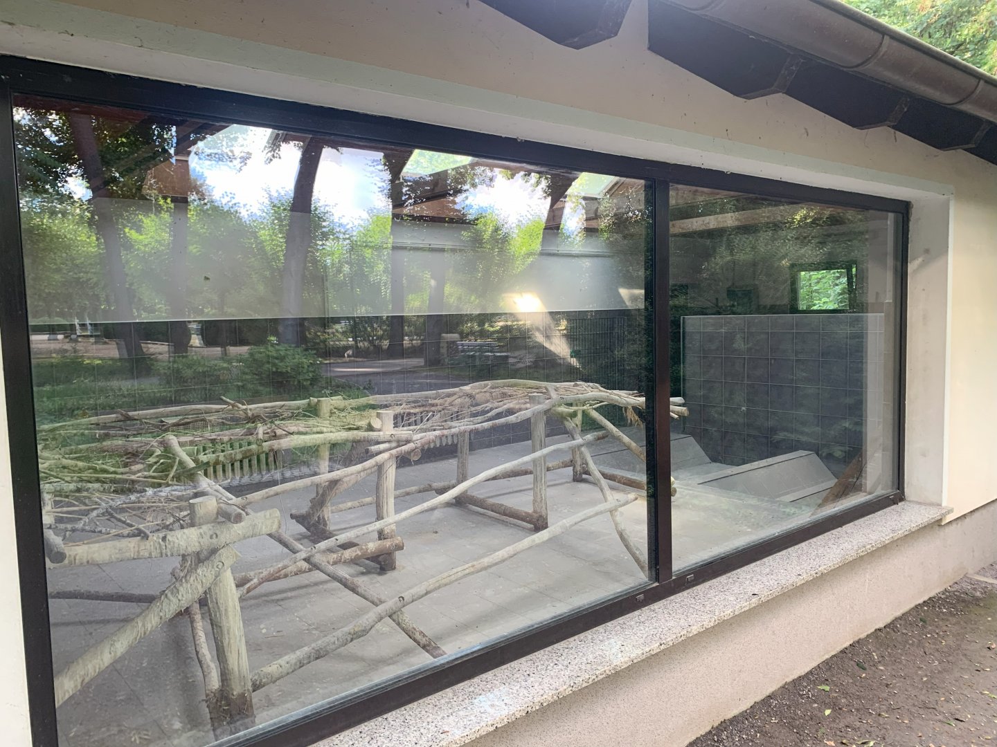 Pelican indoor enclosure (not in use)