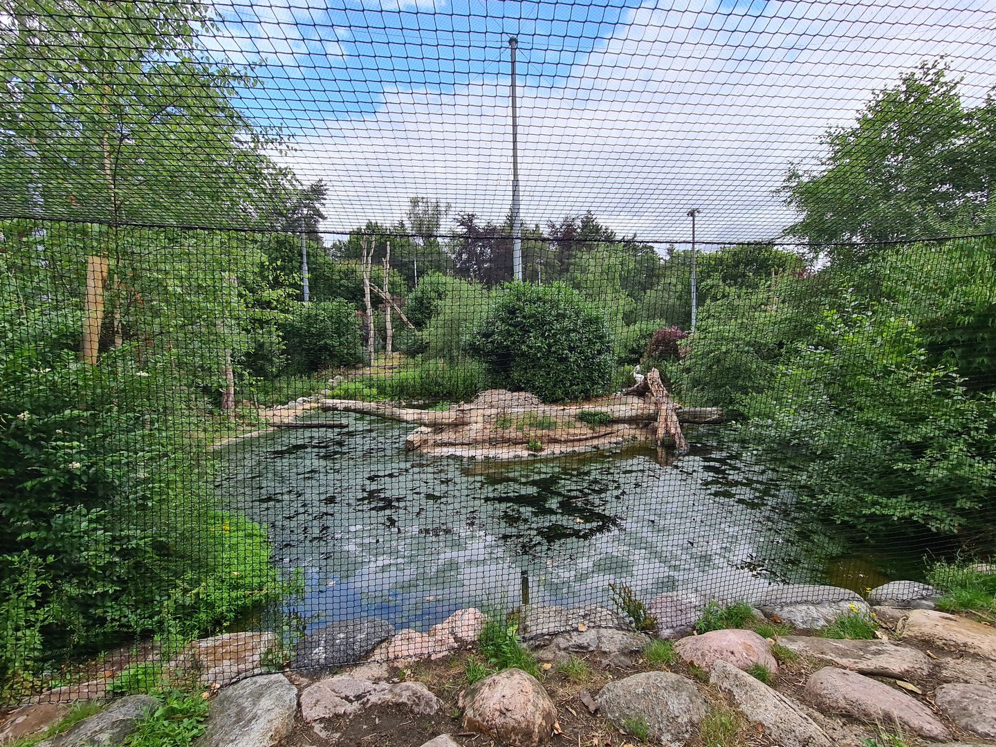 Pelican island in Giant aviary "Realm of beaks"