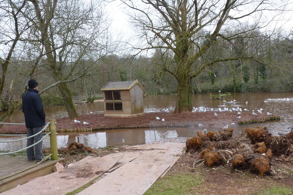 Pelican Lake 15 February 2012