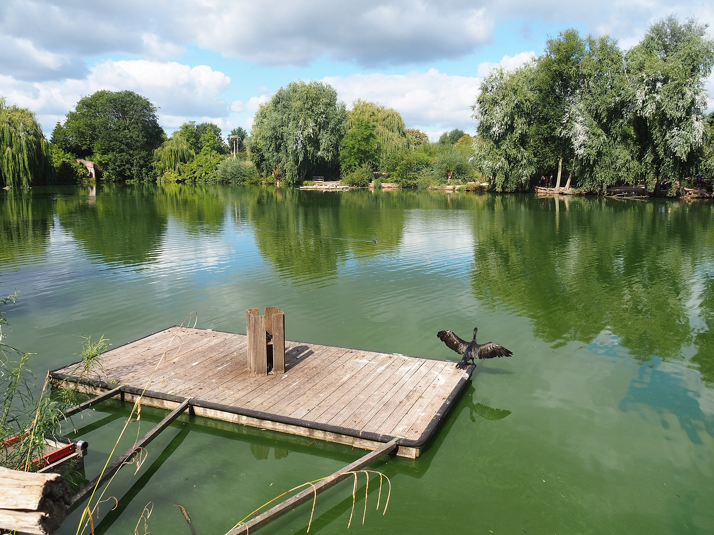 Pelican lake, 2022-08-28