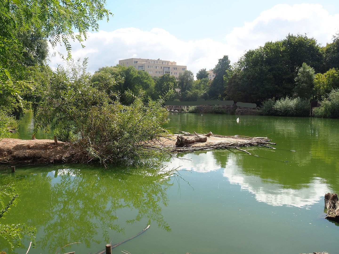 Pelican lake, 2022-08-28