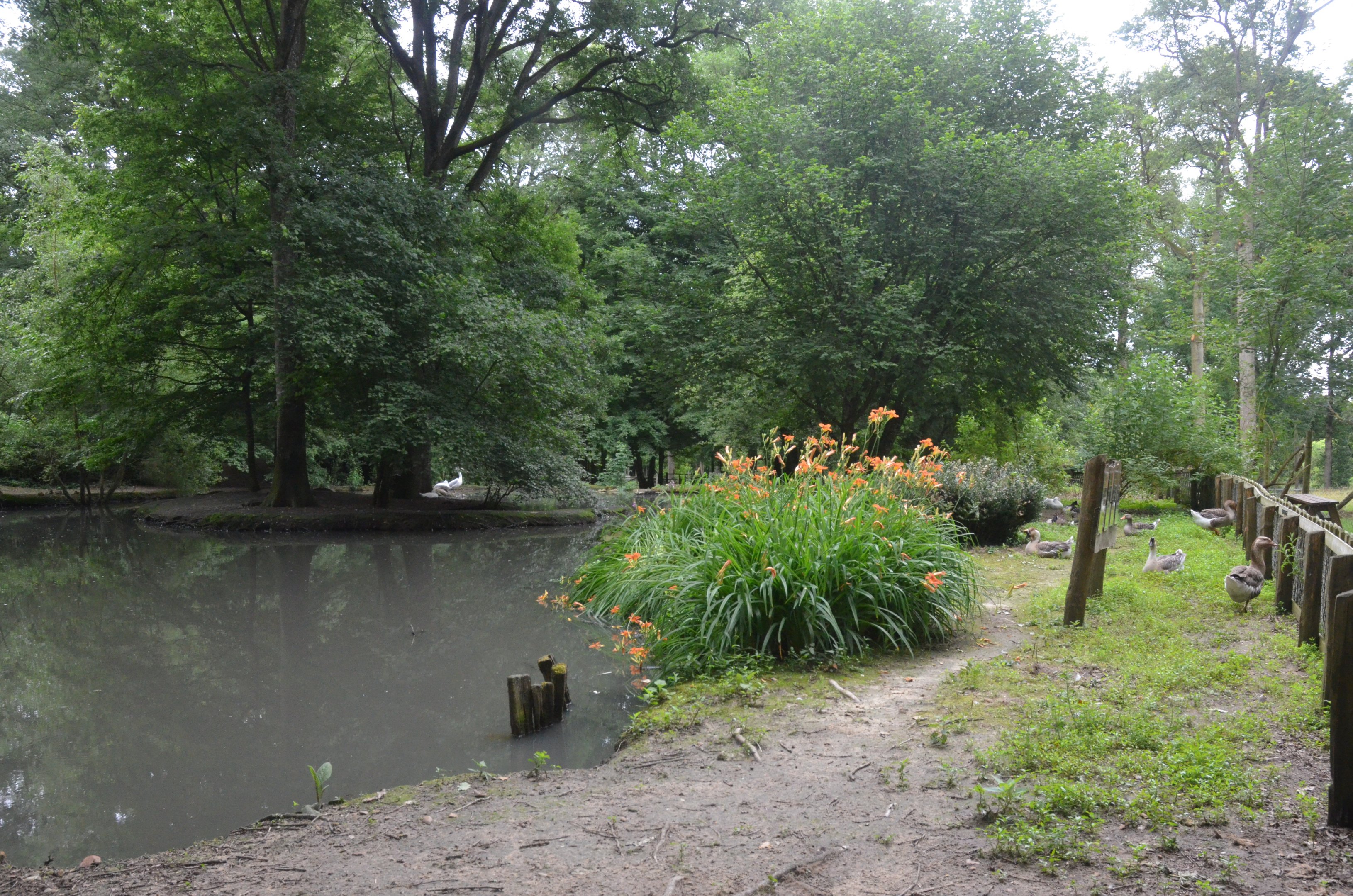Pelican Lake at Pescheray, 13/06/18