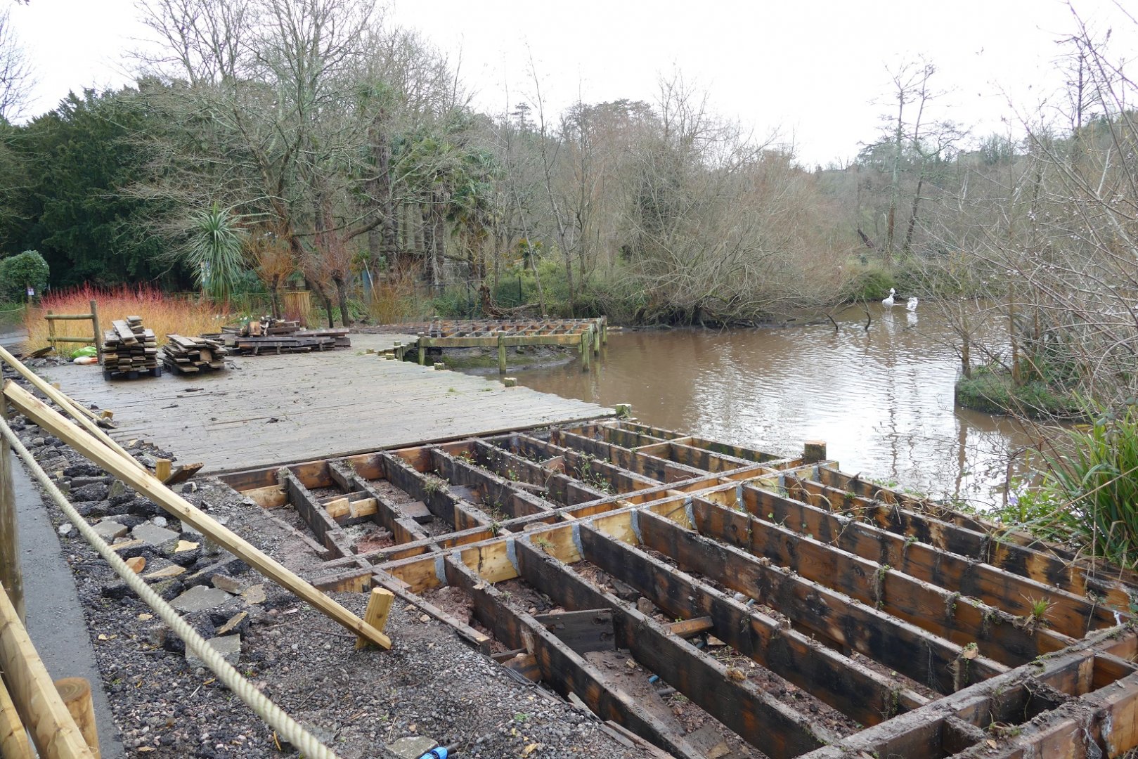 Pelican Lake viewing point, February 2022