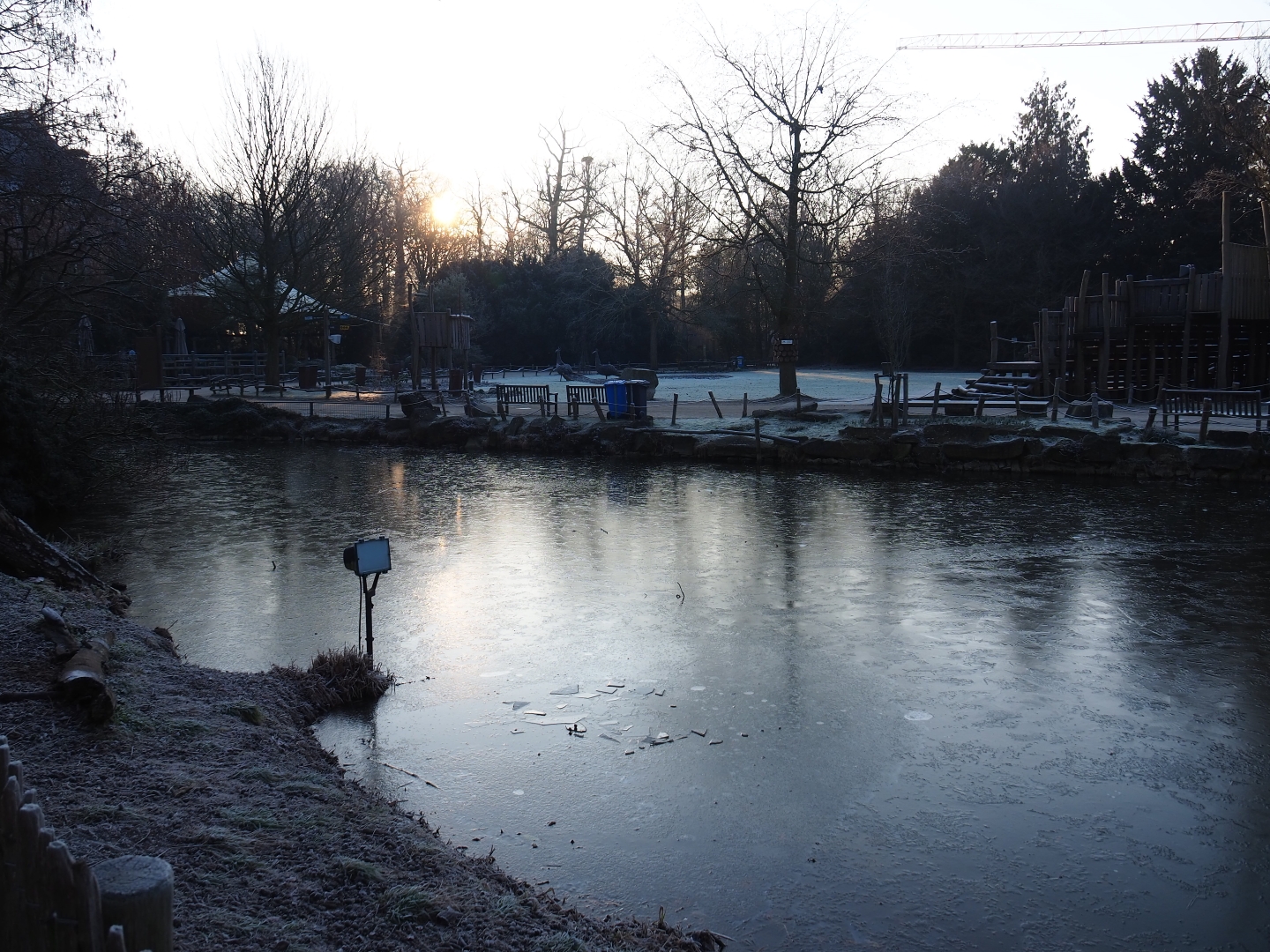Pelican pond and view into the park (Jan 20th, 2019)