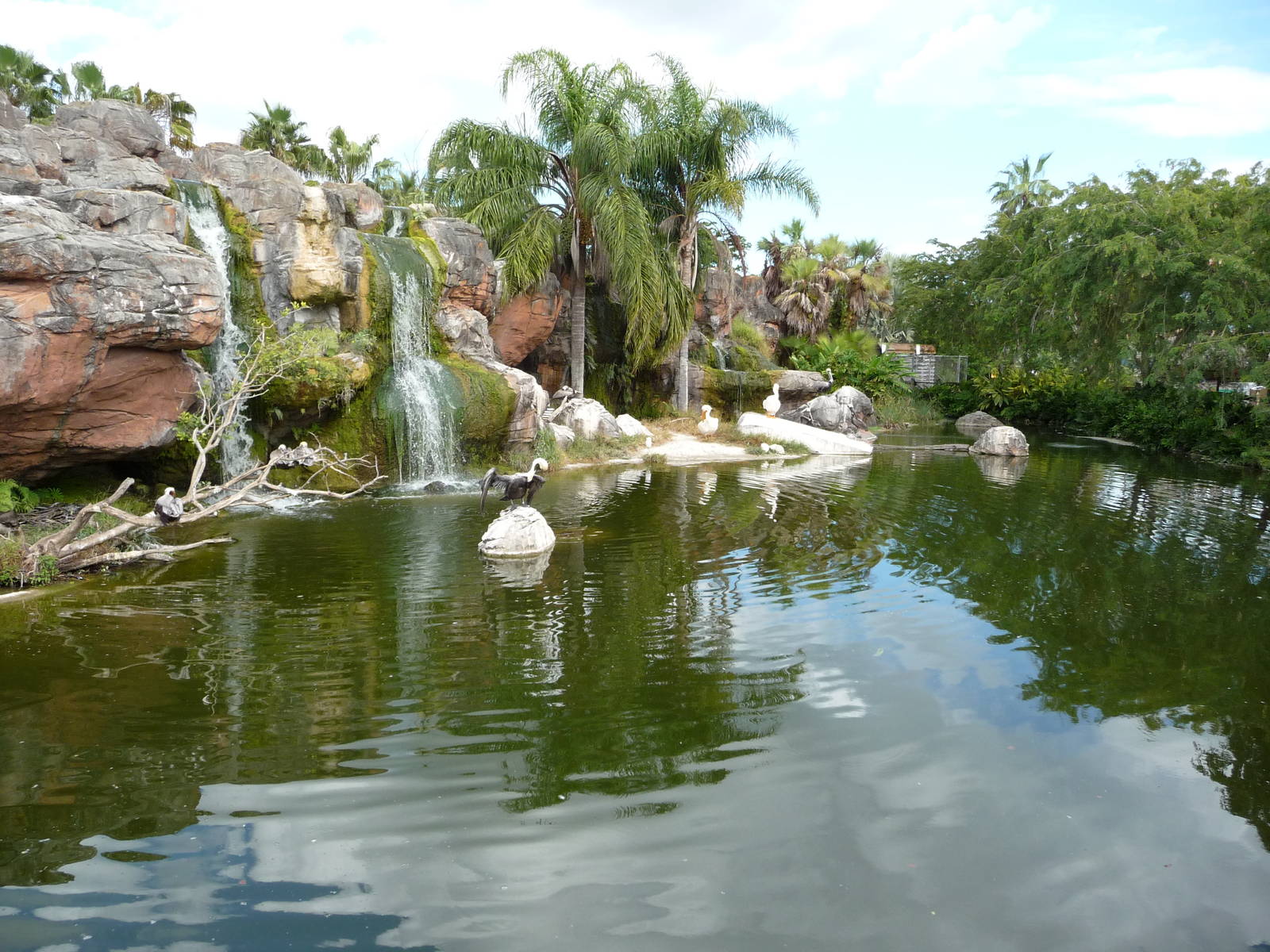 Pelican Pool