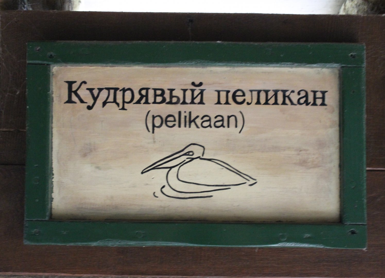 Pelican-sign