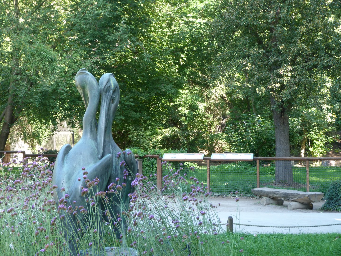 Pelican statue -Zoo Praha (2025)