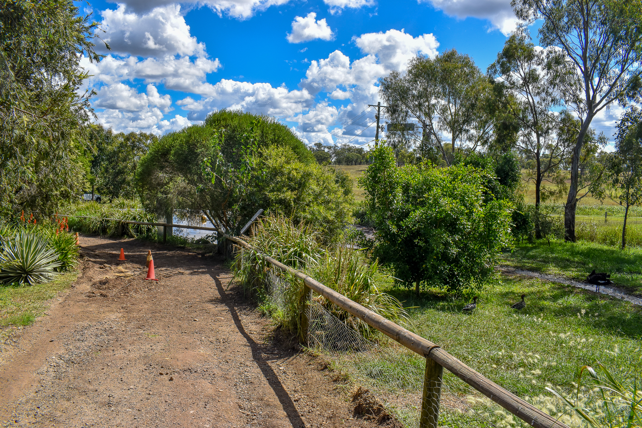 Pelican/Swan Enclosure