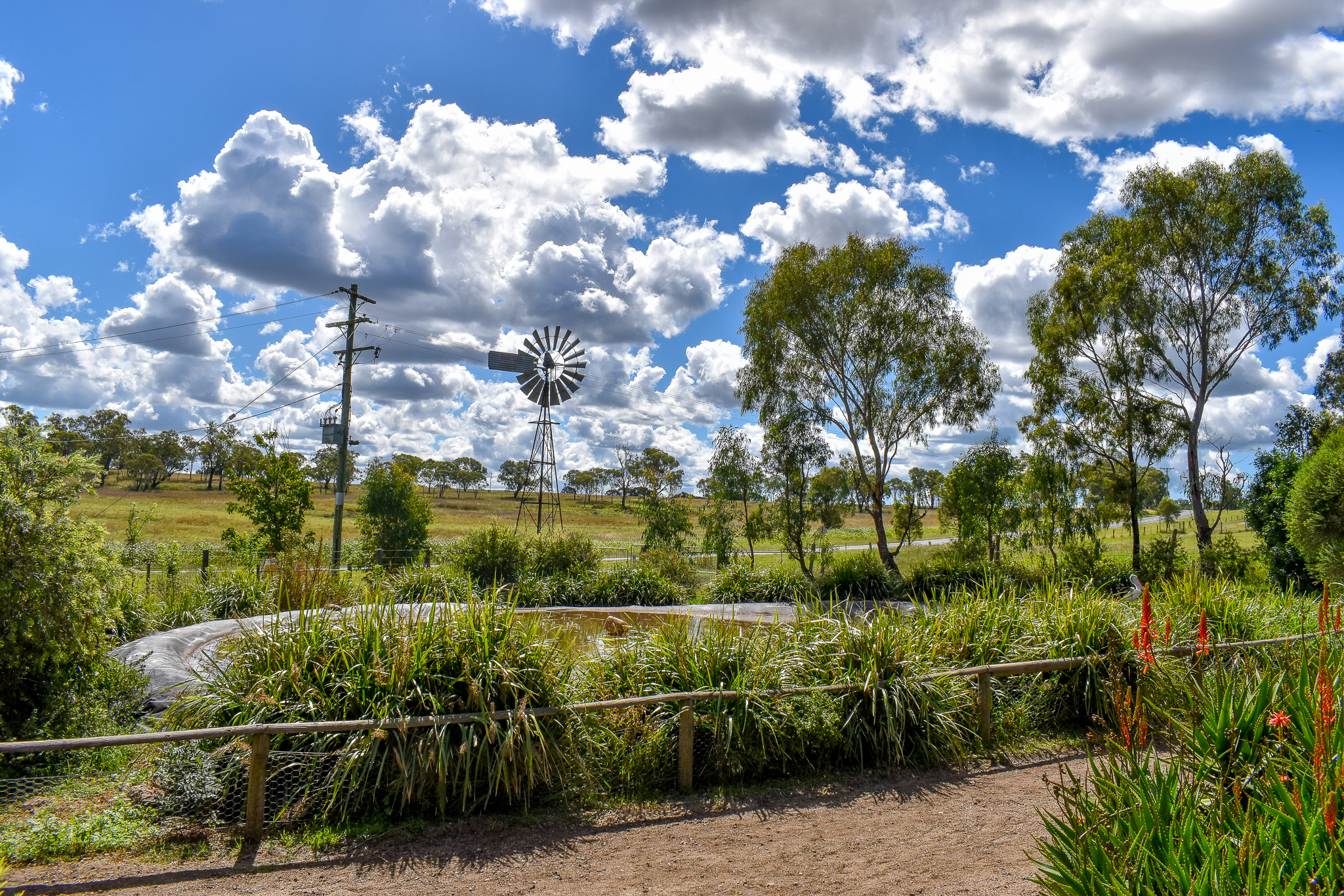 Pelican/Swan Enclosure
