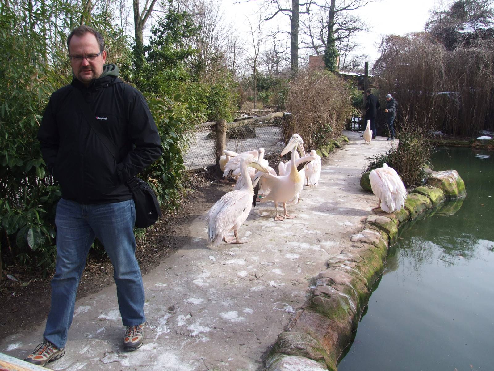 Pelican Walkthrough at Hannover, 23/03/13