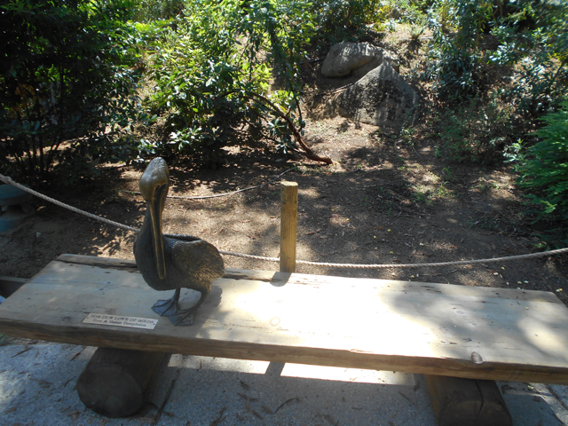 pelican_bench_Fresno