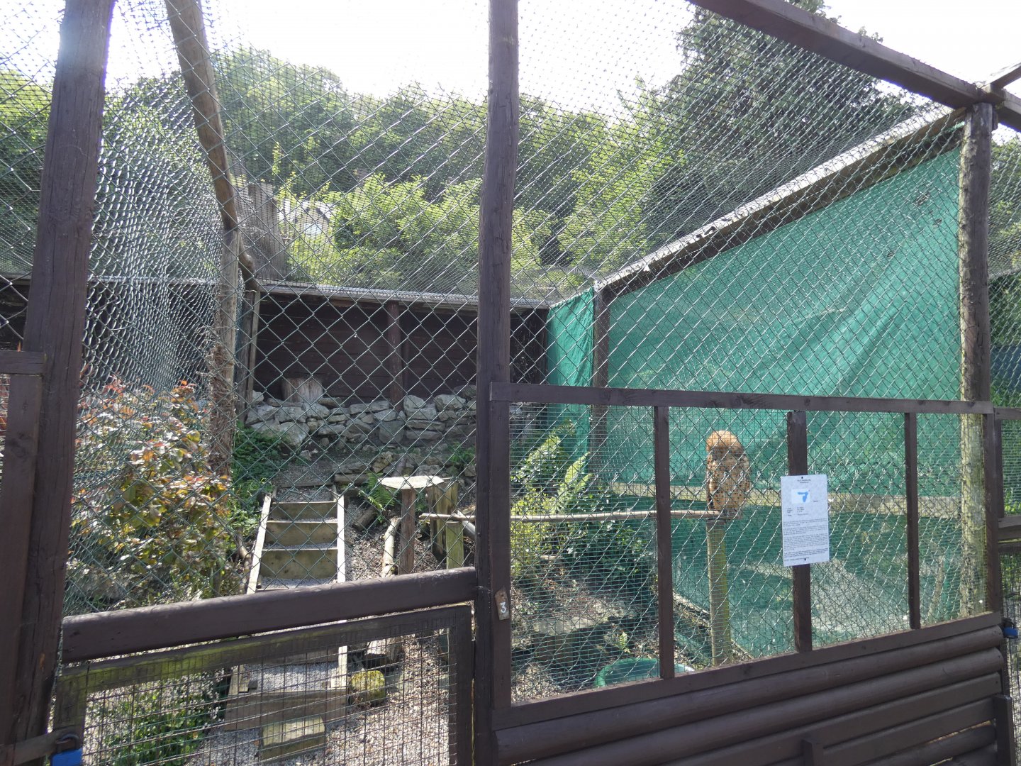 Pel's fishing owl aviary