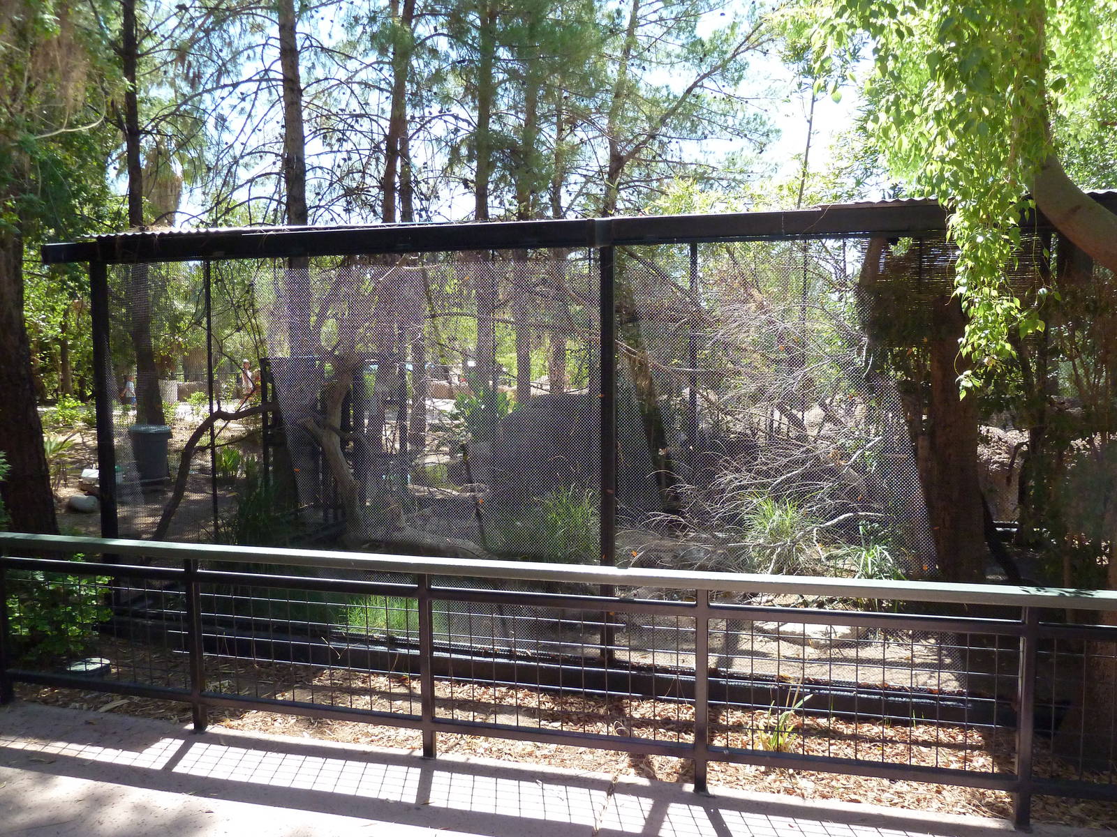 Pemba Flying Fox/Green Wood Hoopoe Exhibit