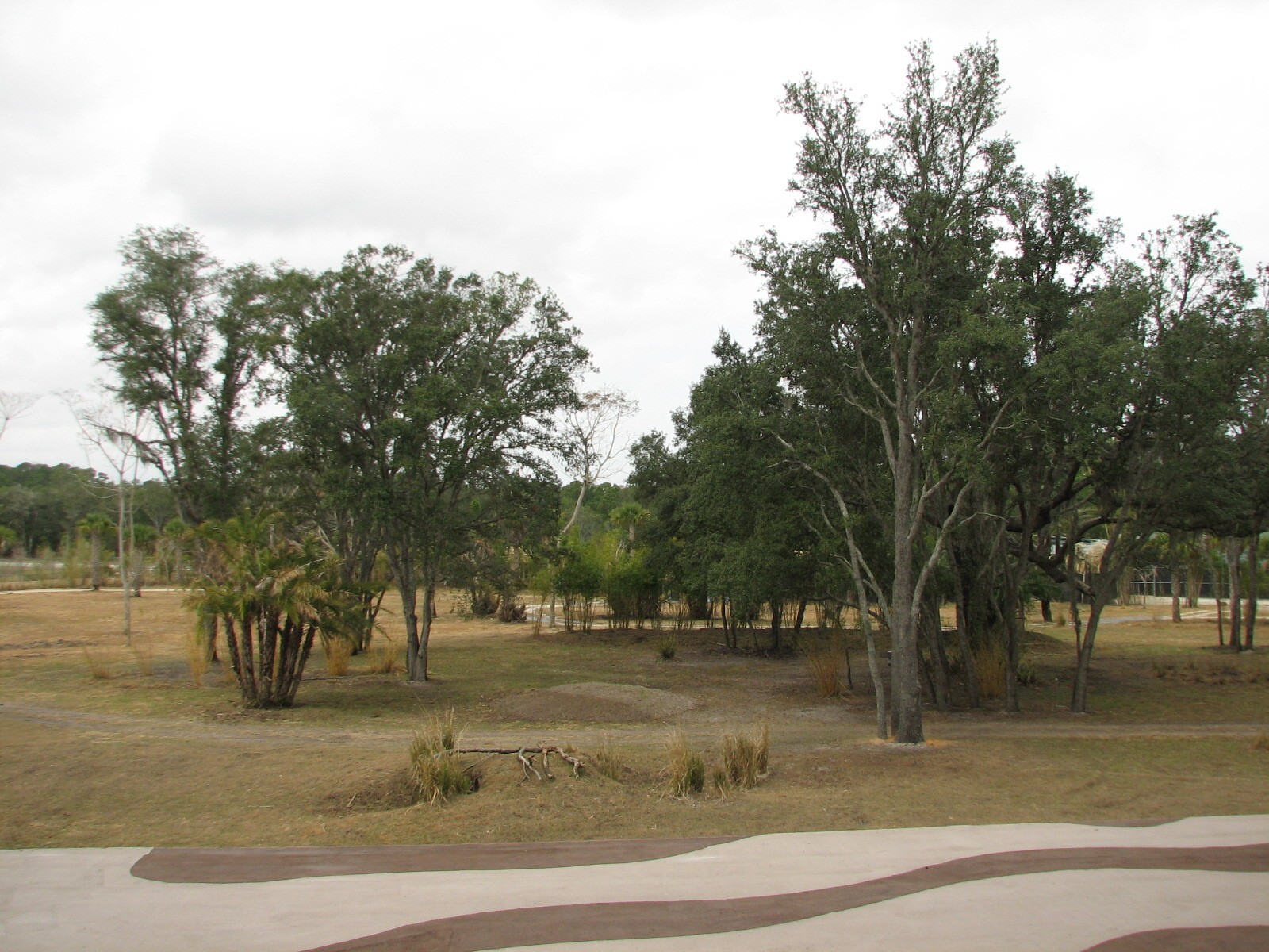 Pembe Savanna - View from Kidani Village Hallway