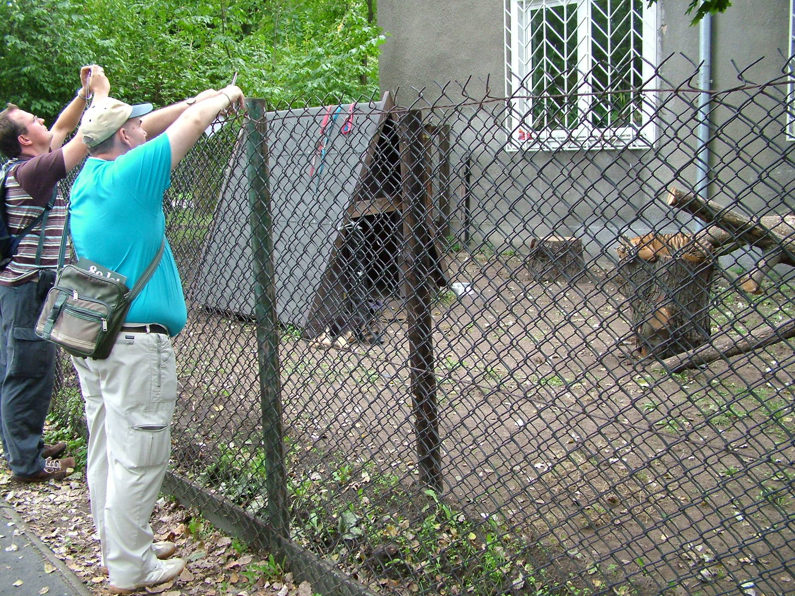 Pen for hand-reared tiger and Alsatian companion at Warsaw Zoo Sept 2008