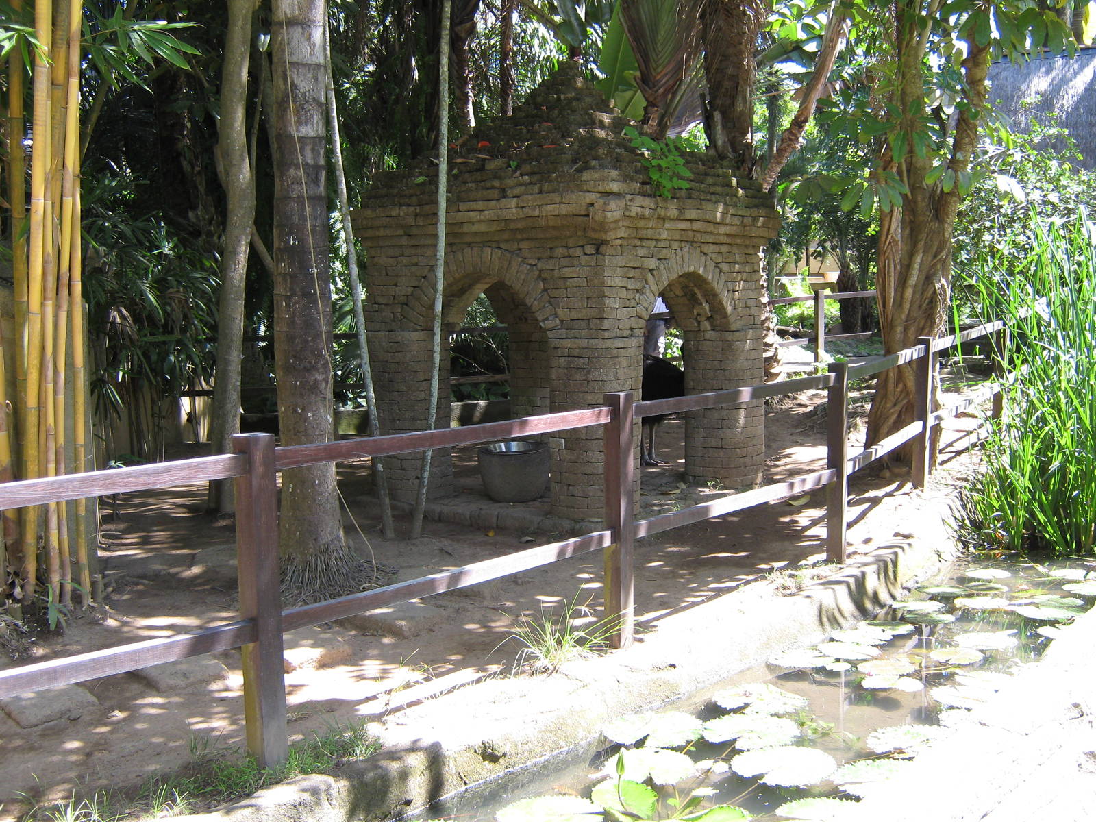 pen for single-wattled cassowary (Casuarius unappendiculatus)