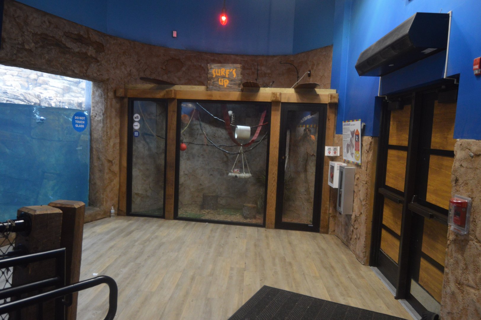 Pengiun House - Northern Lesser Galago (Galago senegalensis) Exhibit