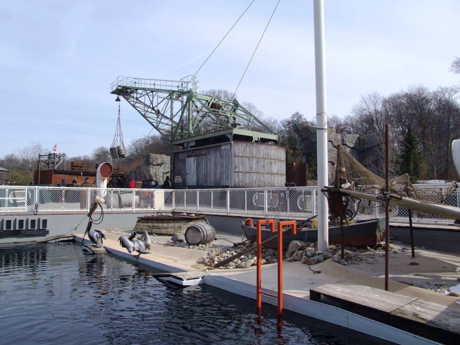 Penguin and Pelican Exhibit at Hannover, 23/03/13