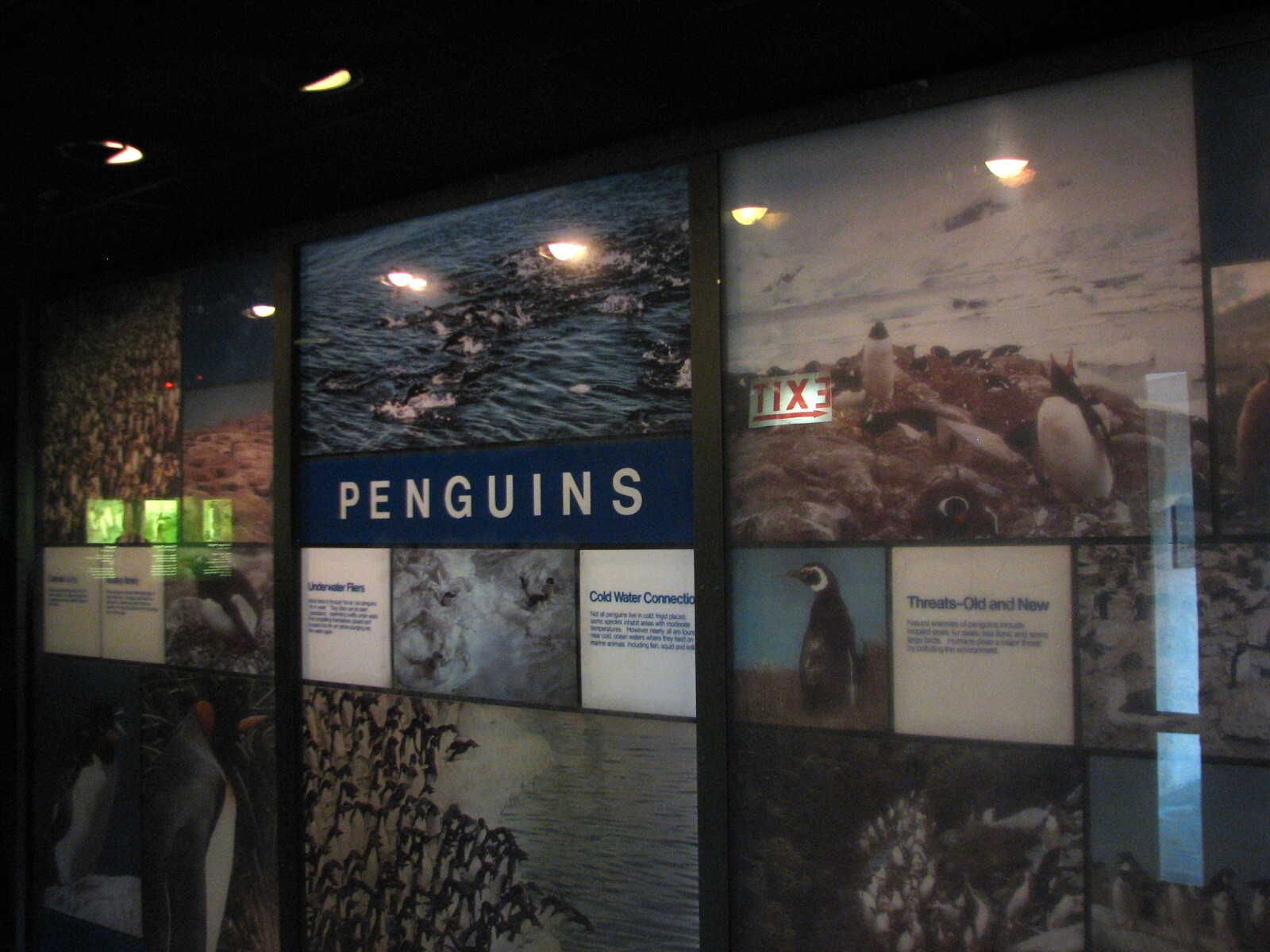 Penguin and Seabird House - Interior Graphics