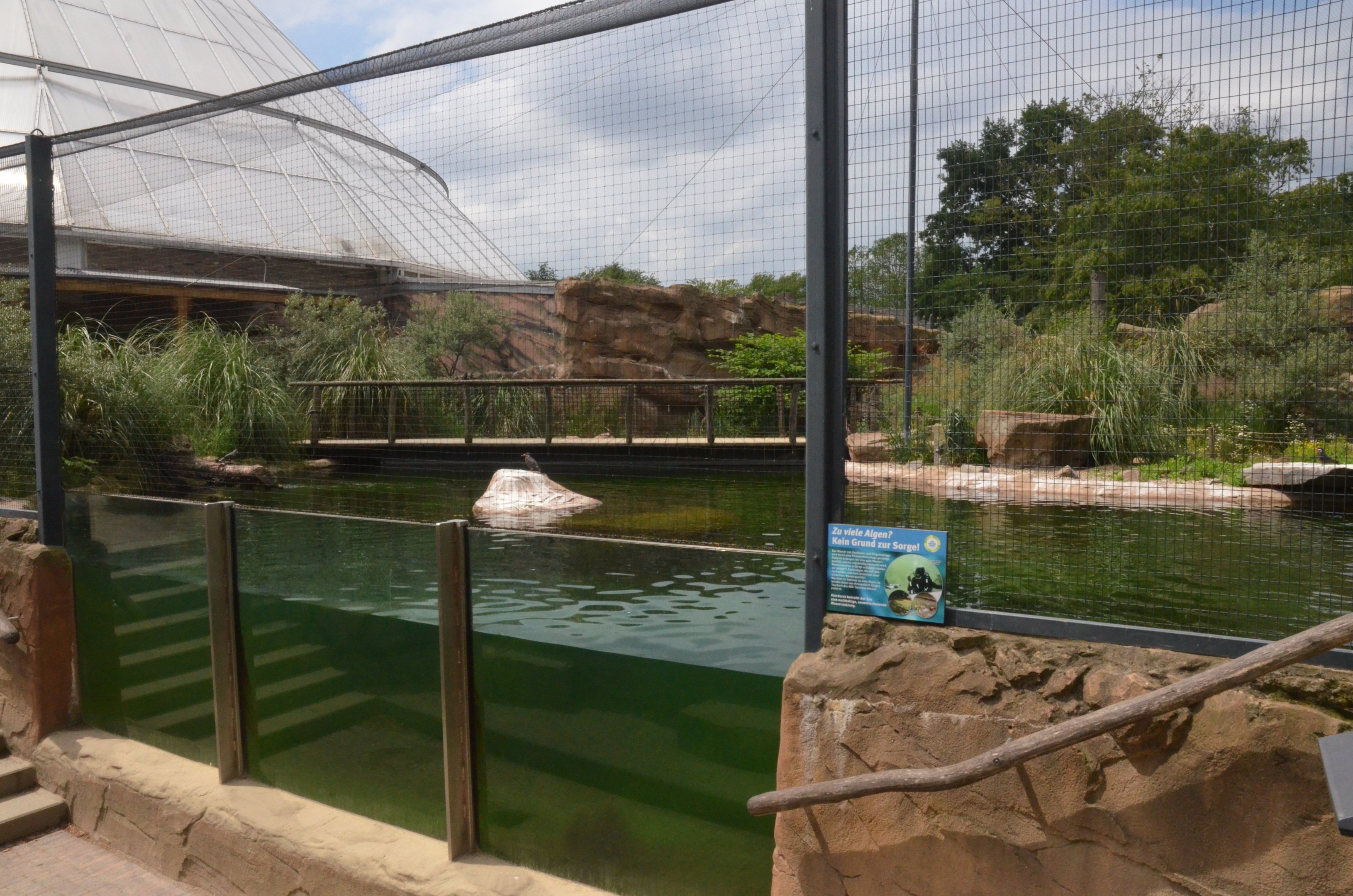 Penguin and Tern Aviary at Krefeld, 15/06/19