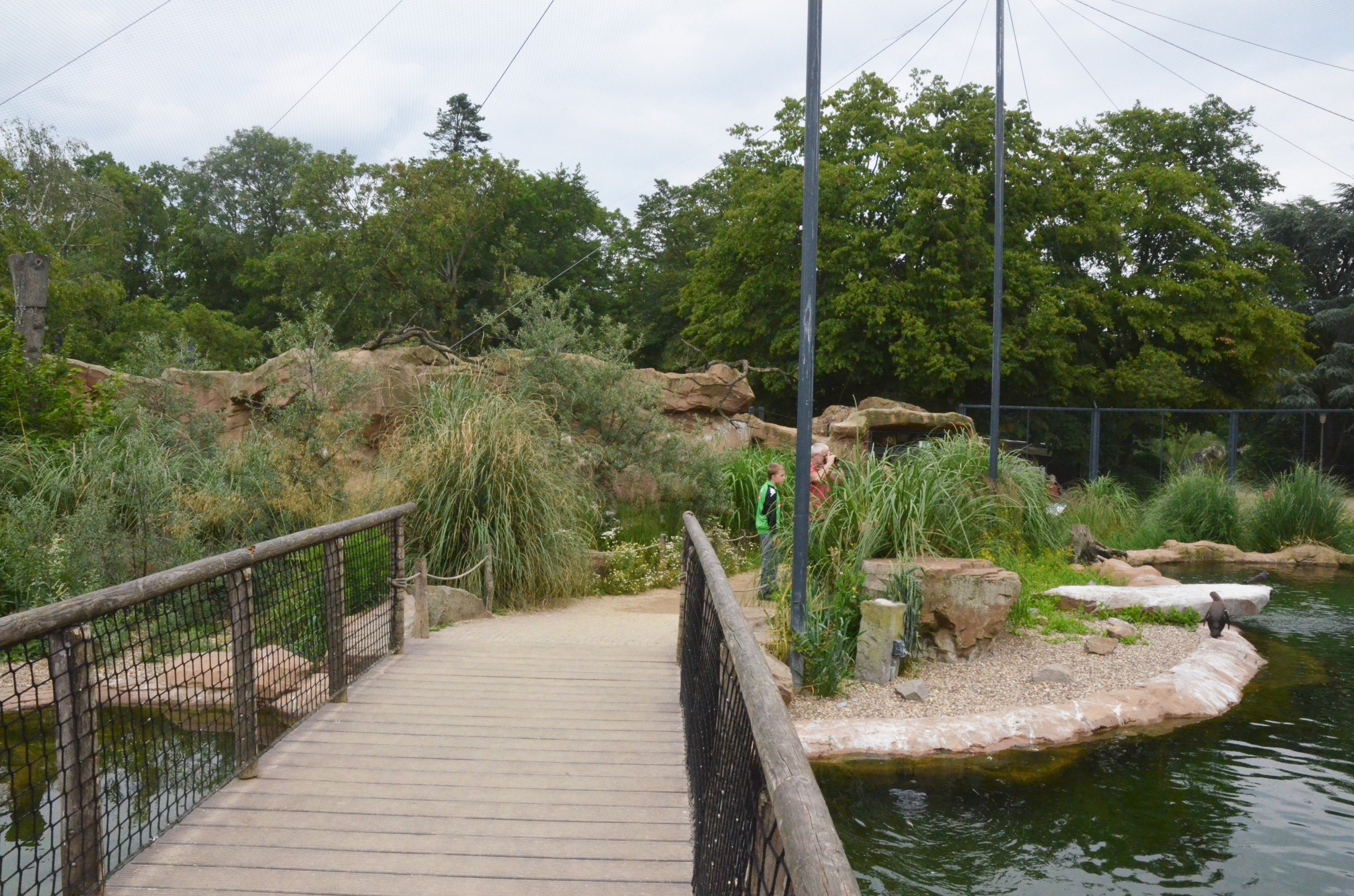 Penguin and Tern Aviary at Krefeld, 15/06/19