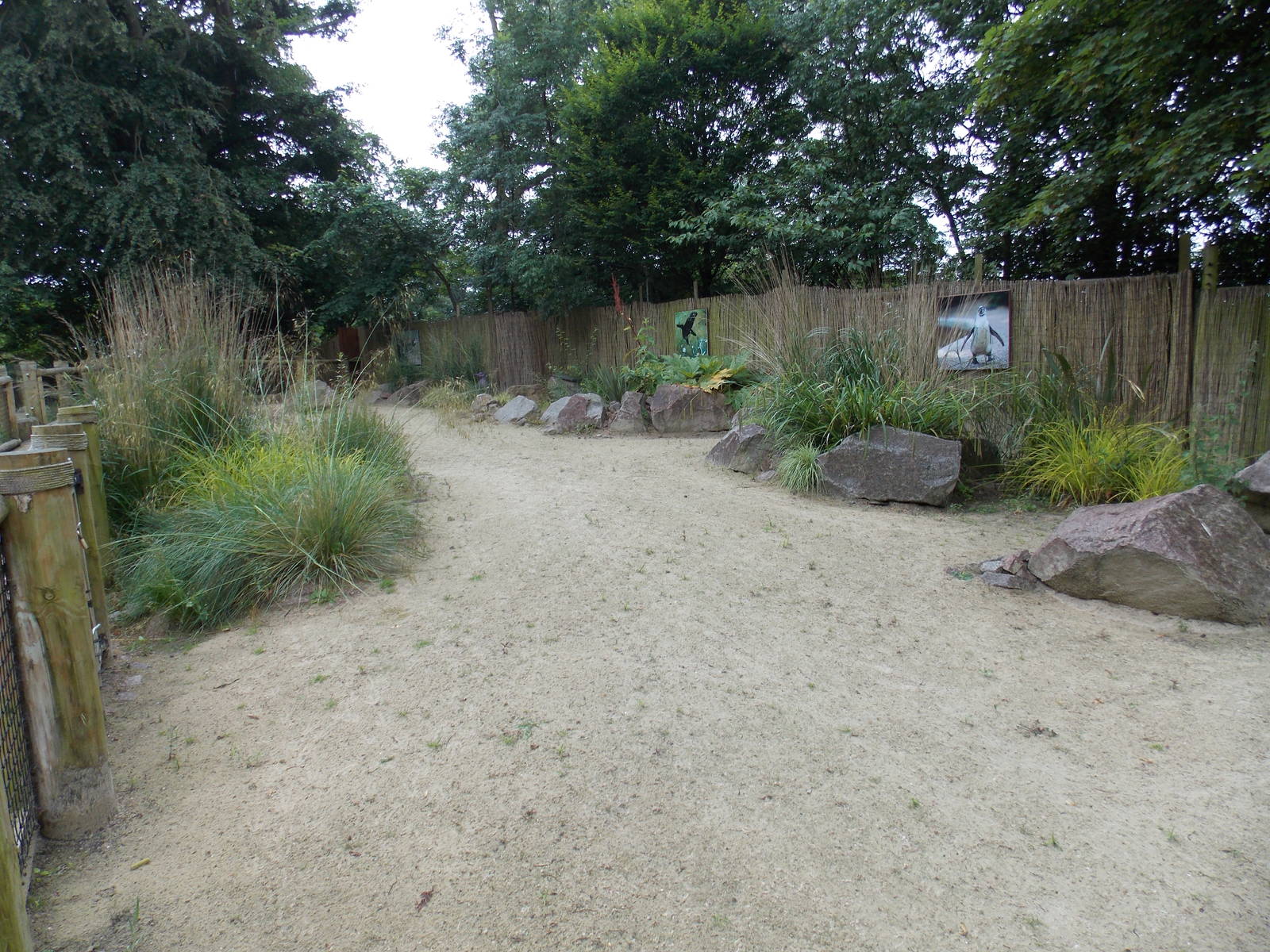 Penguin Bay beach area