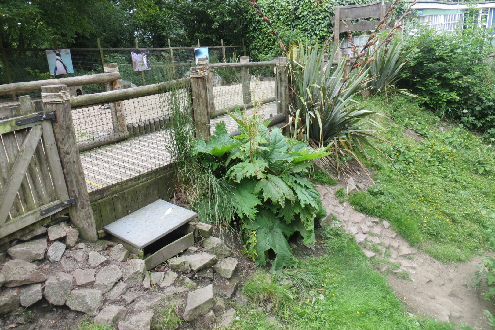 Penguin Bay Walkthrough 230619