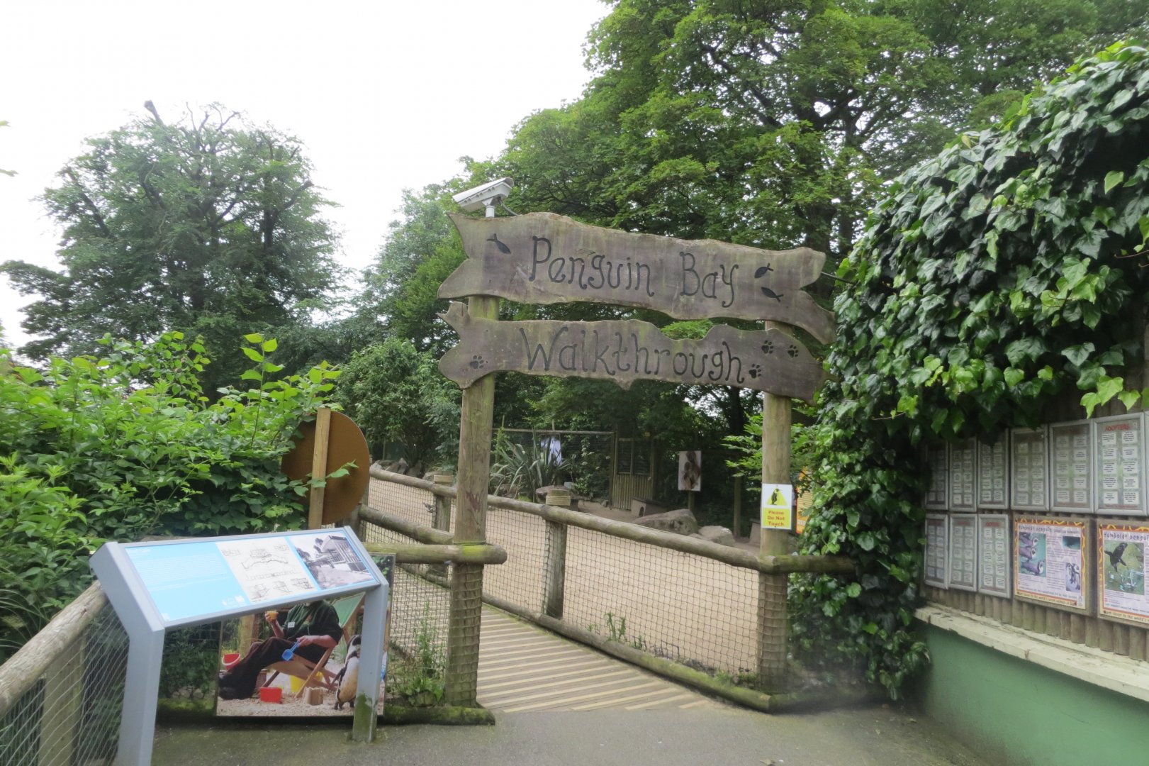 Penguin Bay Walkthrough entrance 230619