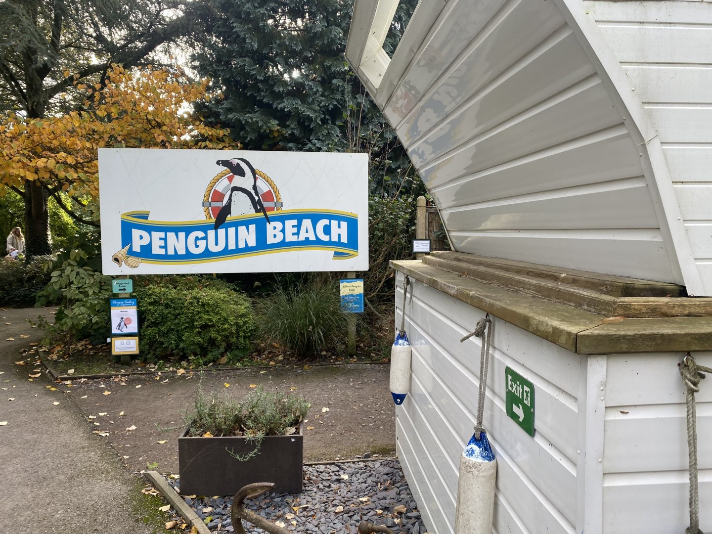Penguin Beach 061121