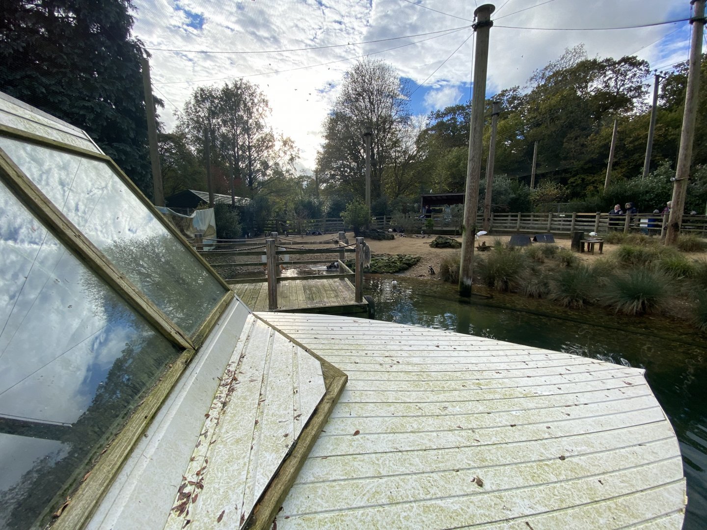 Penguin Beach 061121