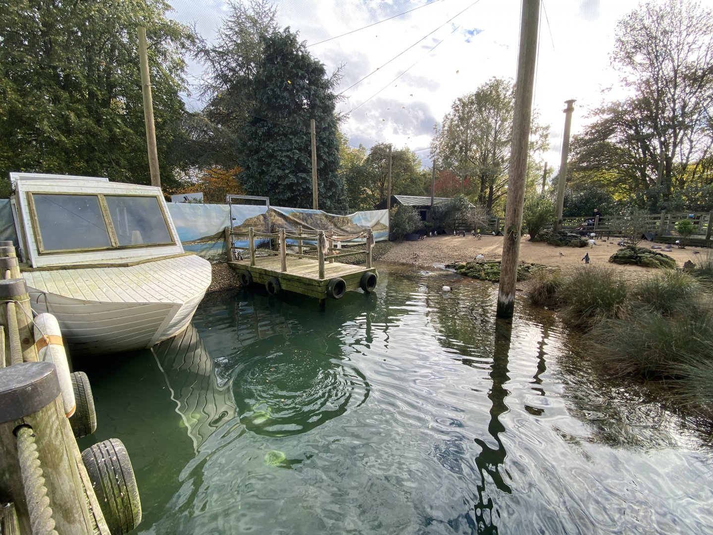 Penguin Beach 061121