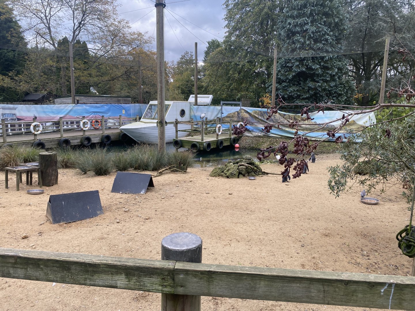 Penguin Beach 061121