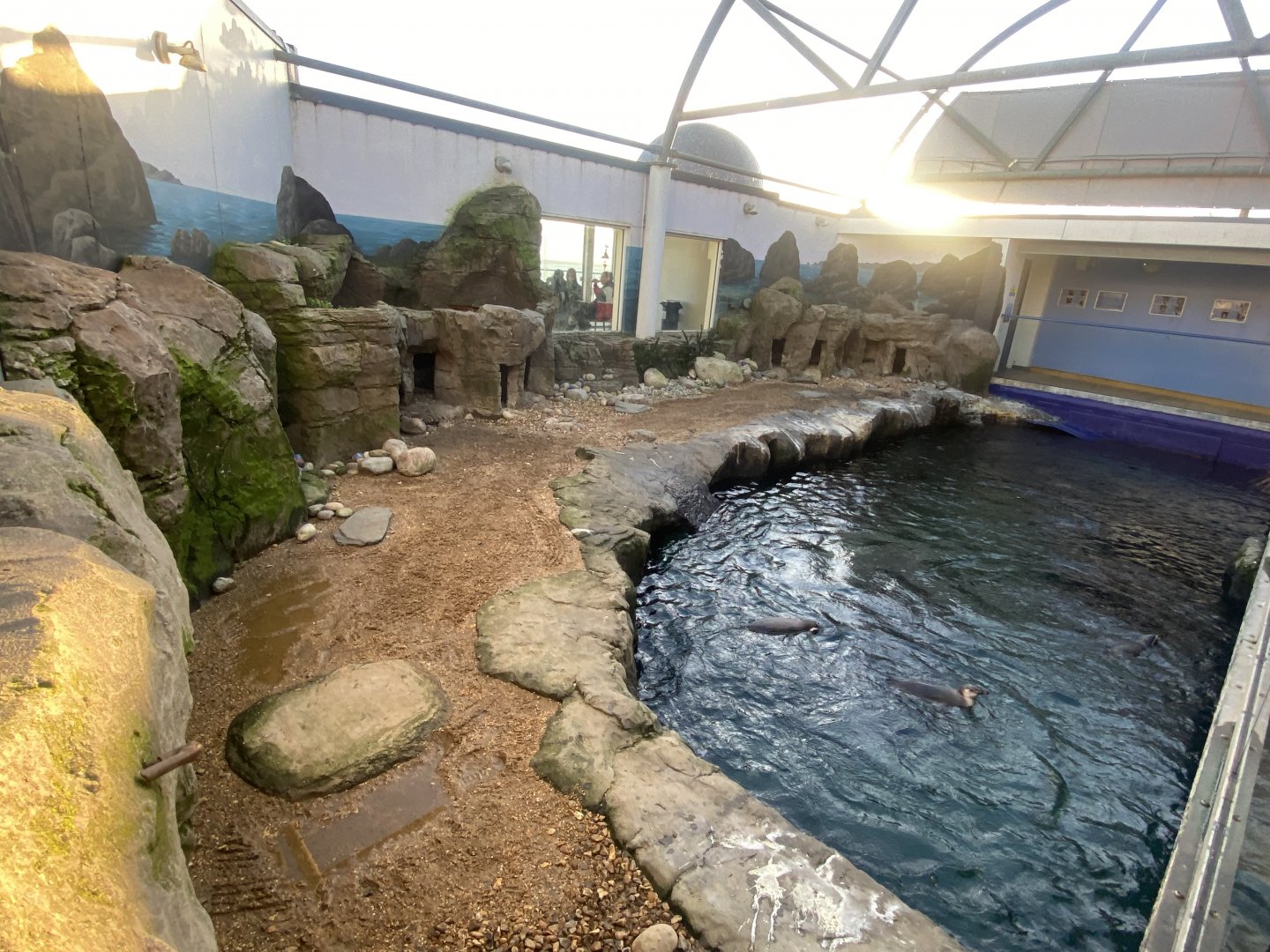 Penguin Beach 070124